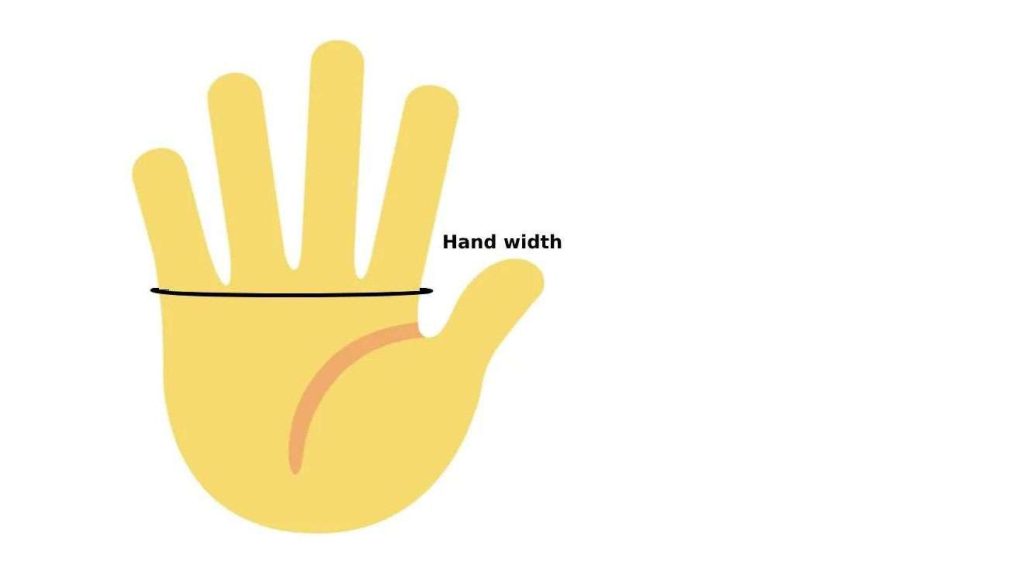 hand circumference measuement