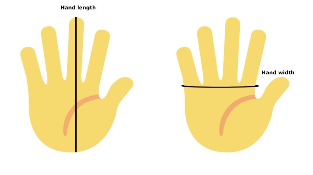 hand length and hand width circumference for winter glove size